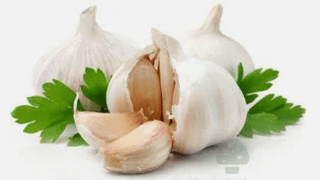 Ail à l'ail du champignon
